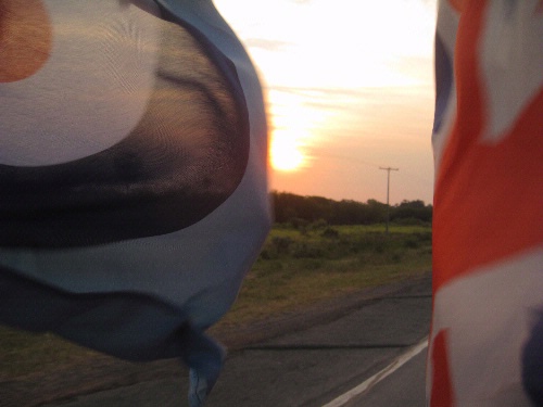 The Flags