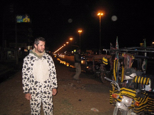 Unhappy Cow