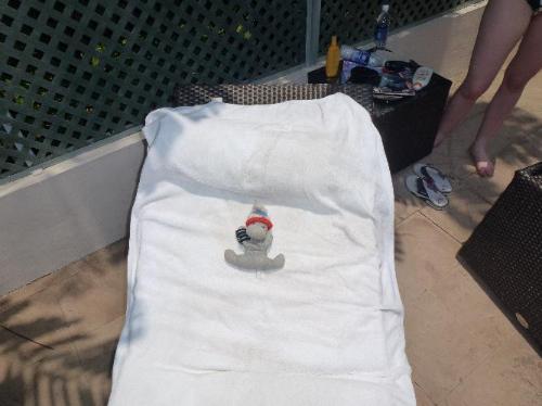 Mojo getting his tan on
