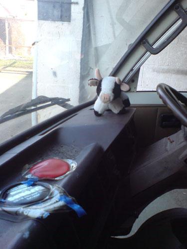 Booze Cow at Home