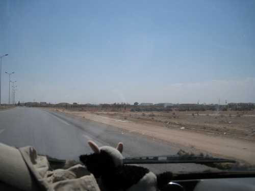 photo_253