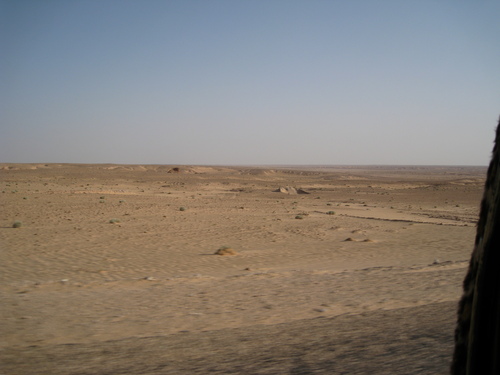 photo_269