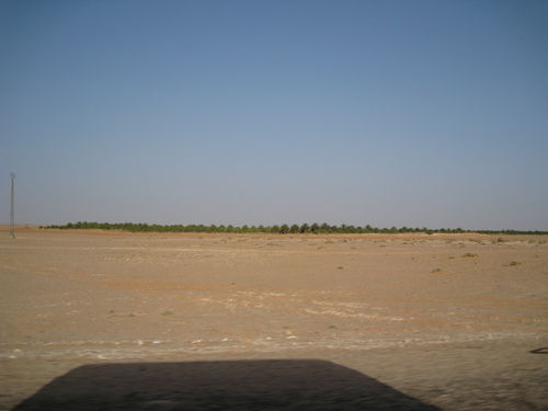photo_270