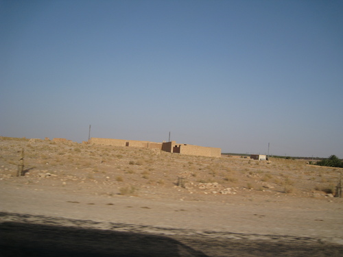 photo_272