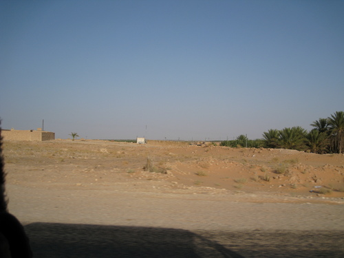 photo_273