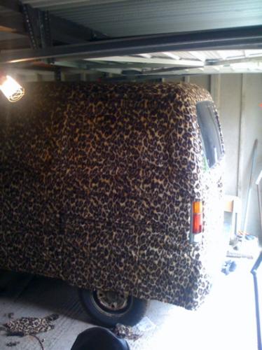 More Fur