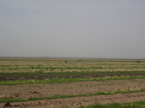 photo_475