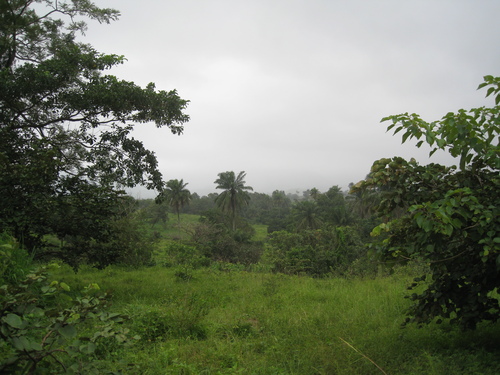 Nigeria — 12 August 2008
