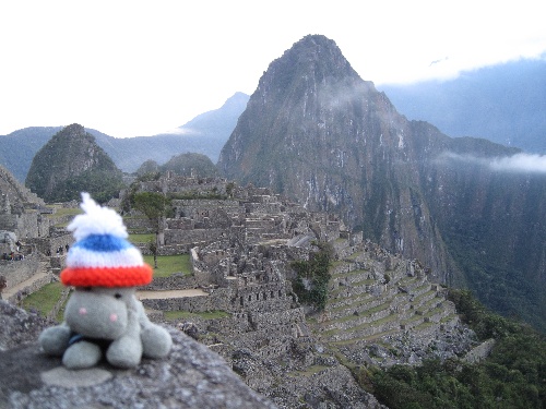 Mojo on Machu Picchu