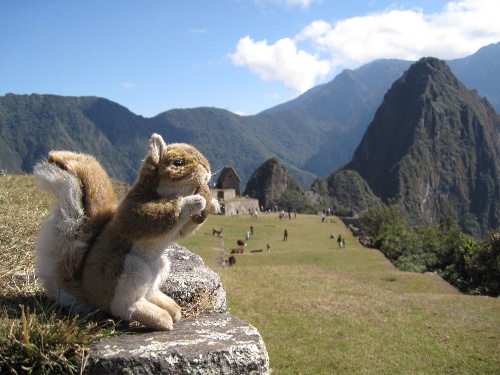 Arnebjorne the Squirrel checking out the view