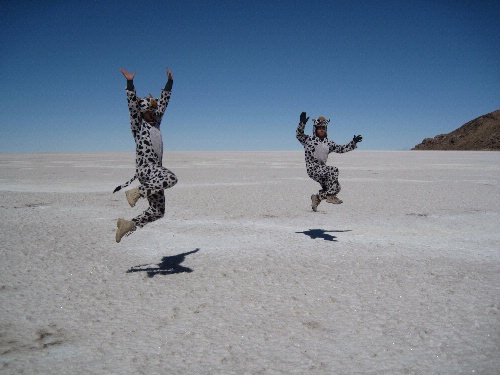 Jumping Cows